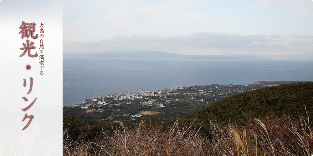 大島の自然を満喫する　観光・リンク